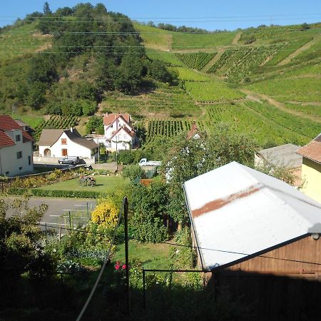 Les Vendangeurs Niedermorschwihr Exterior foto