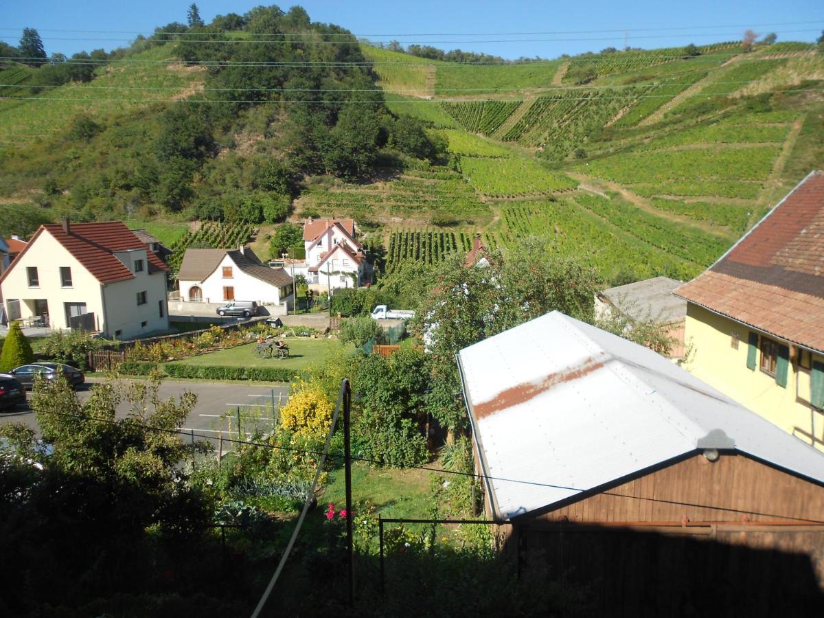 Les Vendangeurs Niedermorschwihr Exterior foto
