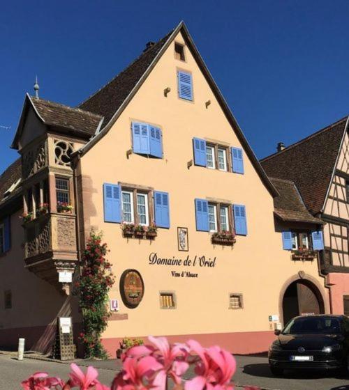 Les Vendangeurs Niedermorschwihr Exterior foto